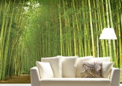 Papier peint dans un intérieur