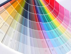 variété de couleurs pour la peinture