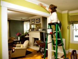 contrôle des moisissures 2