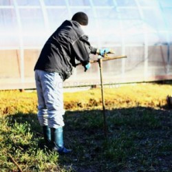 bien où creuser l'intelligence