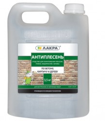 moisissure dans l'amorce de l'appartement