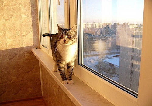 décoration de balcon en liège 3