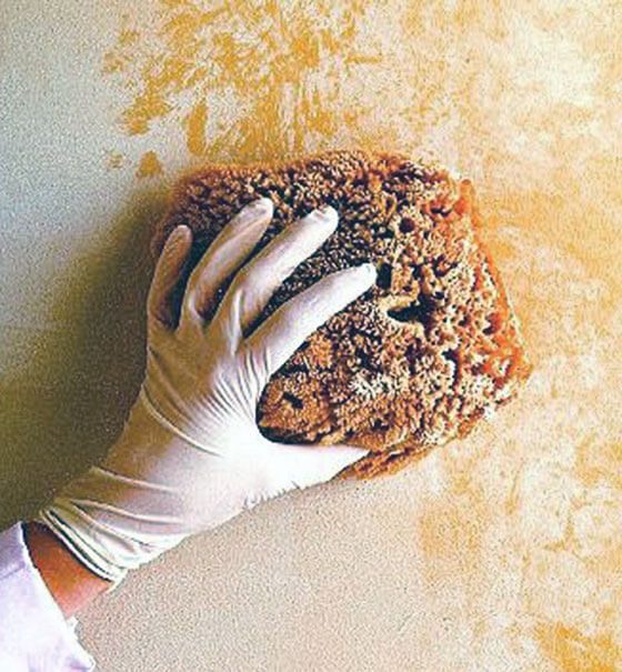 éponges pour la peinture