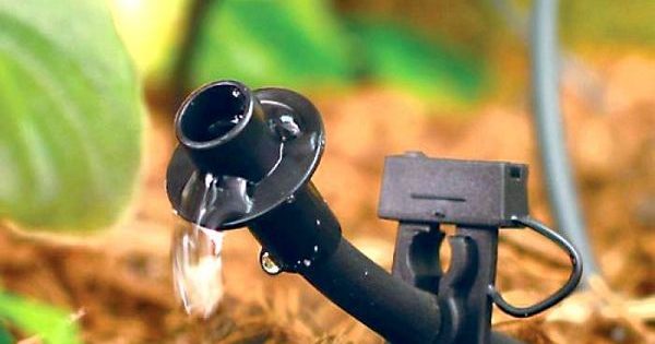 5 conseils pour faire votre propre irrigation goutte à goutte 5 conseils pour faire votre propre irrigation goutte à goutte