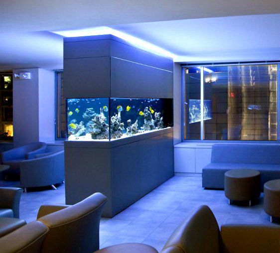 Design d'appartement dans des styles modernes: 11 conseils pour organiser + photos