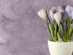 sélection de papier peint de tapis