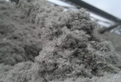 choisissez la meilleure ecowool