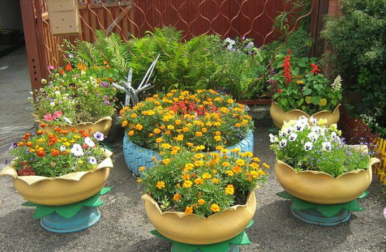 Parterre d'un vieux pneu 7