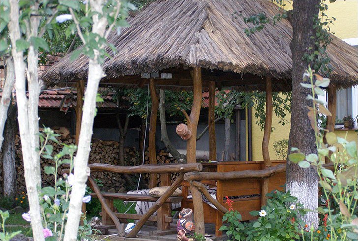 tonnelle de branches d'arbres