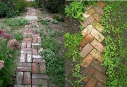 chemins dans la serre 12