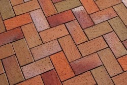 chemins dans la serre 13