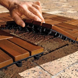 chemins dans la serre 14