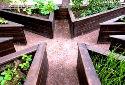 chemins dans la serre 4