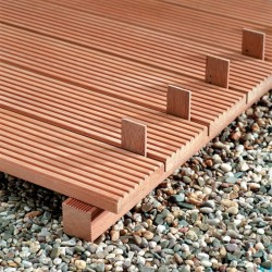 chemins dans la serre 7