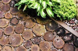 chemins dans la serre 8