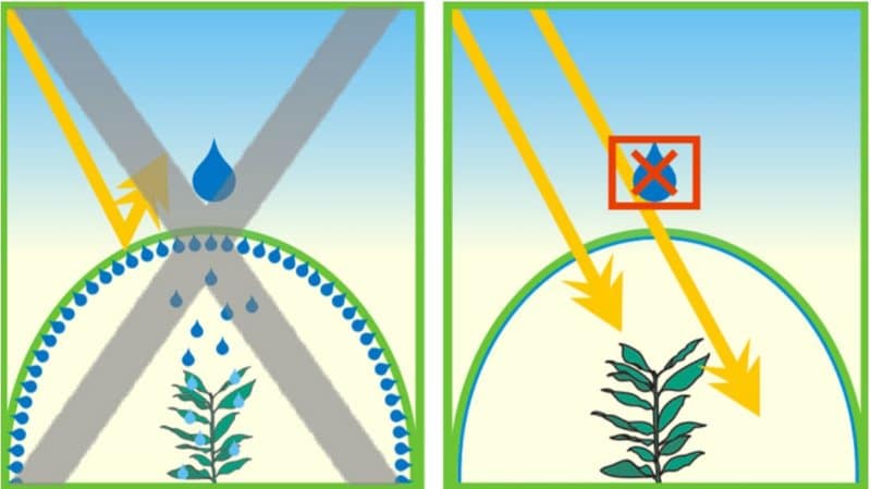 film hydrophile pour serre