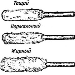 mortier de chaux pour four 2