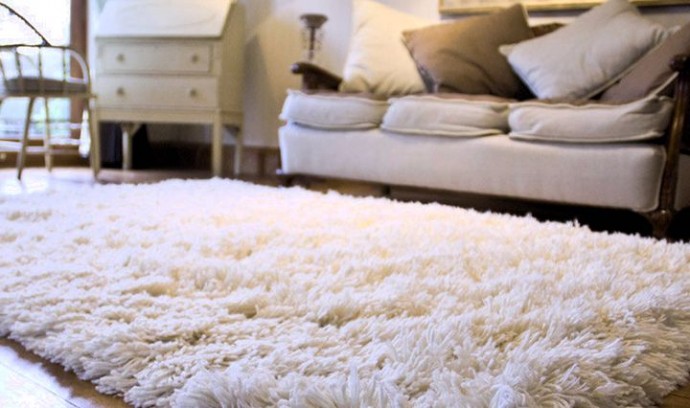 longueur des poils du tapis