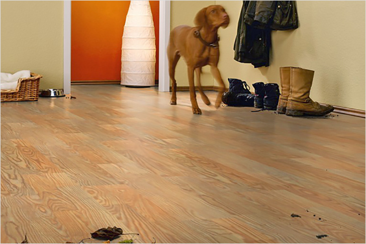 Stratifié pour une entrée: que choisir, avec quoi combiner Stratifié pour une entrée: que choisir, avec quoi combiner