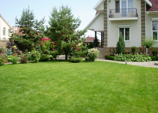 petite parcelle de pelouse