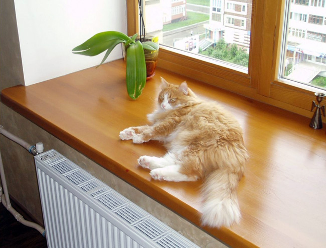 appuis de fenêtre en bois 4