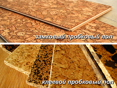 espèces de plancher de liège 2