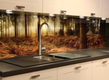 choisissez des peaux dans la cuisine