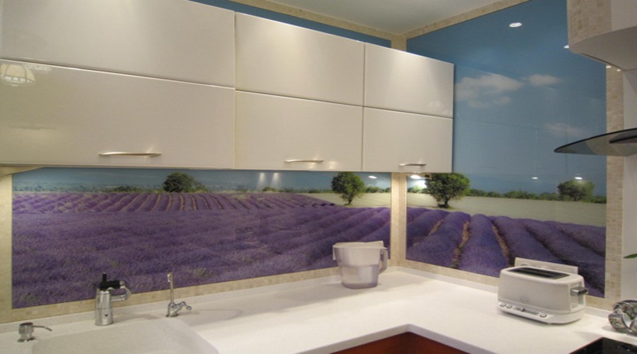 choisissez des peaux dans la cuisine