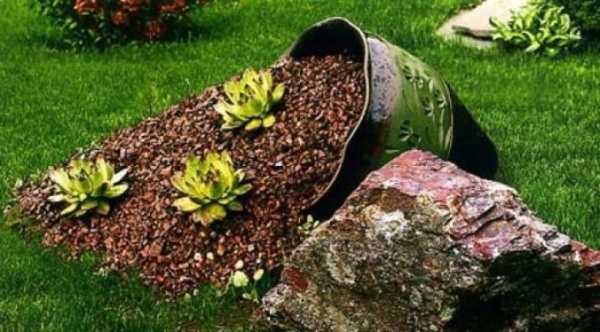 fleurs sur un petit terrain 2