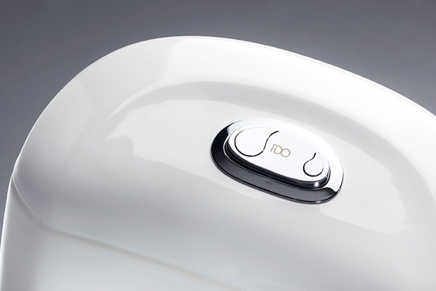 toilettes à deux boutons