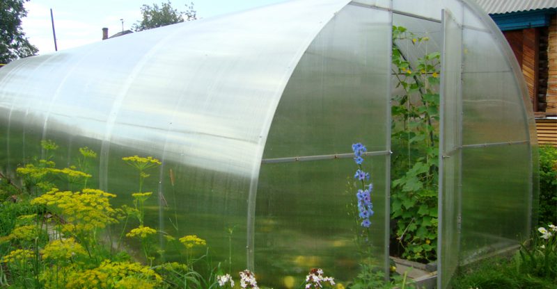 choisissez le polycarbonate pour la serre 3