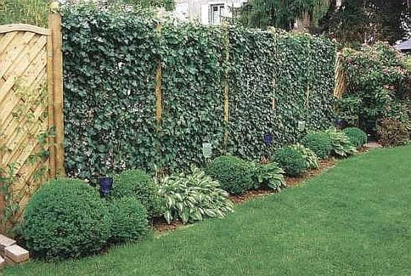 petite clôture de zone