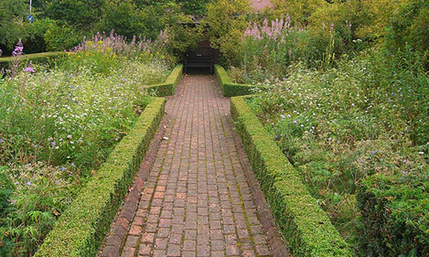 bordure verte pour allées de jardin